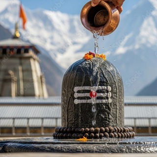 cricket Illustration